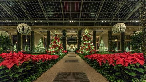 Longwood Gardens Christmas Images - Beautiful Insanity