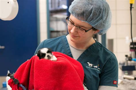 Medical care and wellness | Animal Humane Society