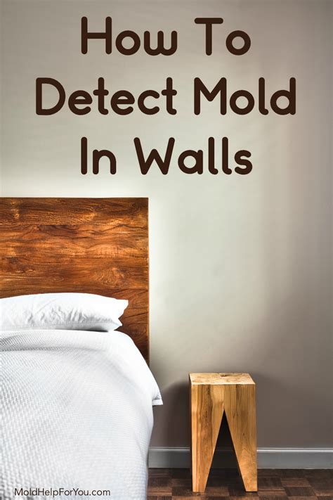 How To Detect Mold In Walls