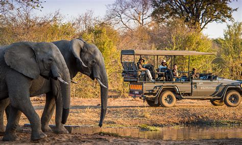 How to safari with kids in Africa: Top 10 family tours | Kabura Travel