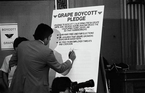 Cesar Chavez Grape Boycott 1985 Photograph by Hector Ericksen | Fine ...