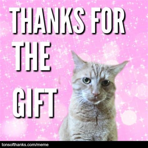 56 Cute Cat Thank You Memes | Funny thank you, Memes, Thank you memes