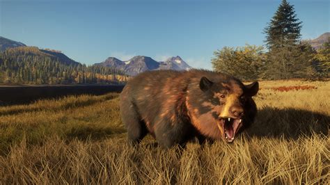 Developer Diary: Black Bear Great One | theHunter: Call of the Wild