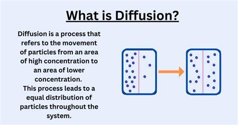 Diffusion Explained - Types, Examples and Factors