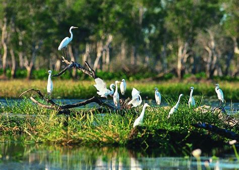 Down The Beauty of Kakadu National Park in Australia - Traveldigg.com