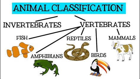 Animal Classification for Children: Classifying Vertebrates and ...