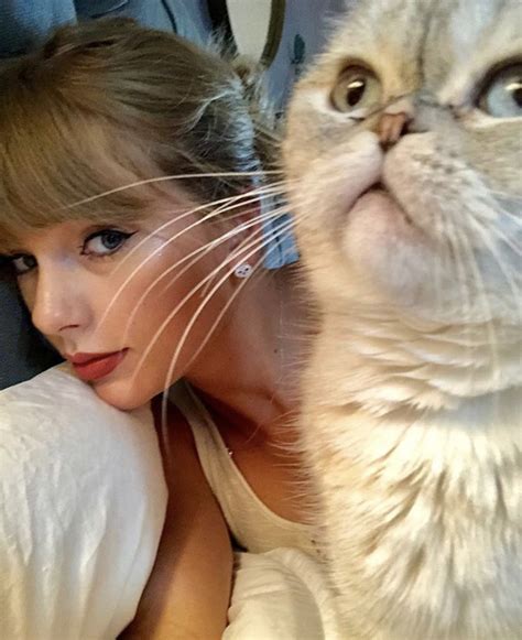 Taylor Swift | Taylor swift cat, Taylor swift pictures, Taylor swift