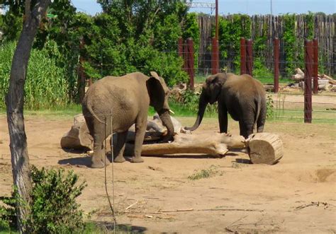 Sedgwick County Zoo - Wichita, Kansas