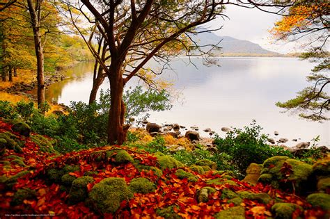 🔥 [50+] Autumn Lake Desktop Wallpapers | WallpaperSafari