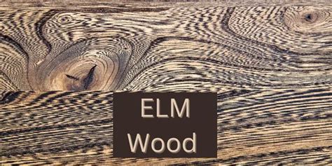 What Can ELM Wood Be Used For?