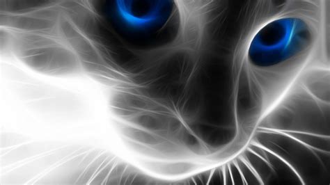 Blue Eyed Cats Wallpapers - Wallpaper Cave