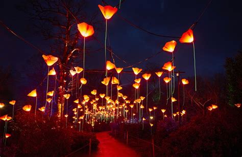 Lightscape holiday light display returns to San Antonio Botanical ...