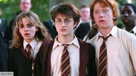 Harry Potter cast reunite in first look at 20th anniversary reunion