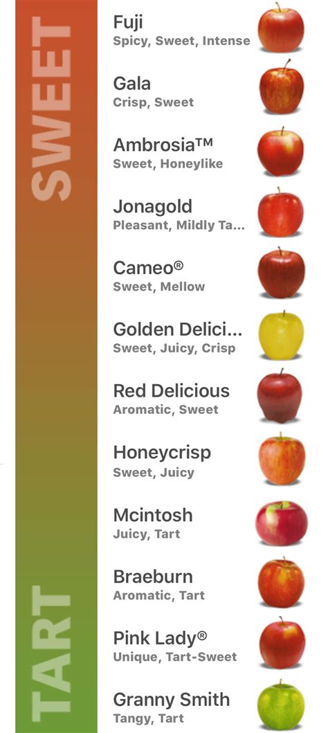 Apple Varieties Comparison Chart