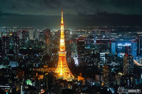 Beautiful Tokyo Tower! | Tokyo tower, Tokyo, Japan destinations