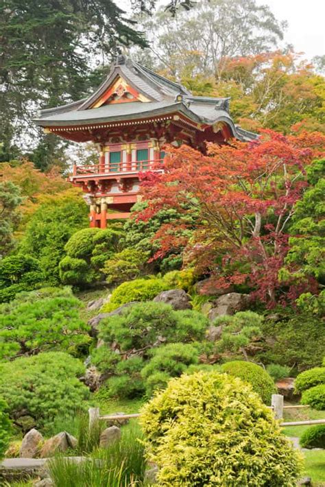 golden gate park botanical garden price - Marlyn Stubbs