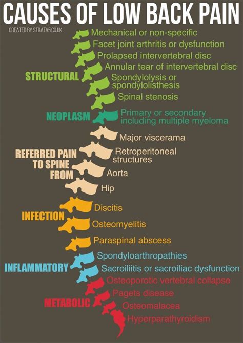 Causes of low back pain-01 Arthritis In Back, Physical Therapy Quotes ...