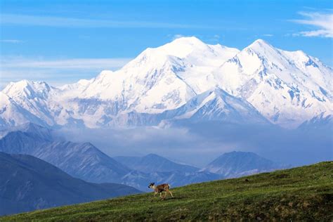 Insider's Guide to Denali National Park & Preserve - KÜHL Blog