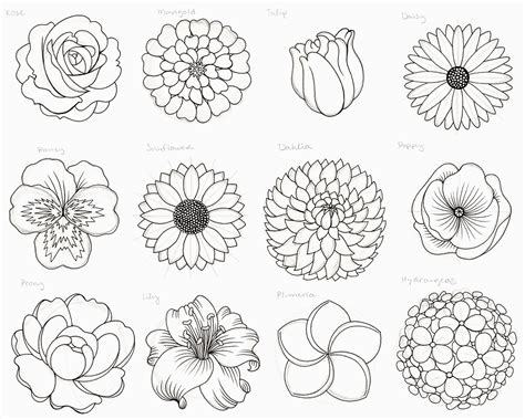 How To Draw A Flower Step By Step For Beginners