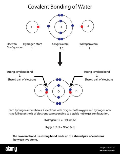 [DIAGRAM] Hcl Covalent Bond Diagram - MYDIAGRAM.ONLINE