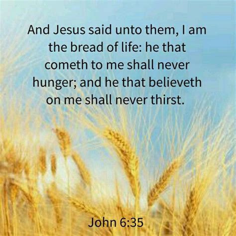 Daily Bible Verse about the Bread of Life - Bible Time - Bible Verses