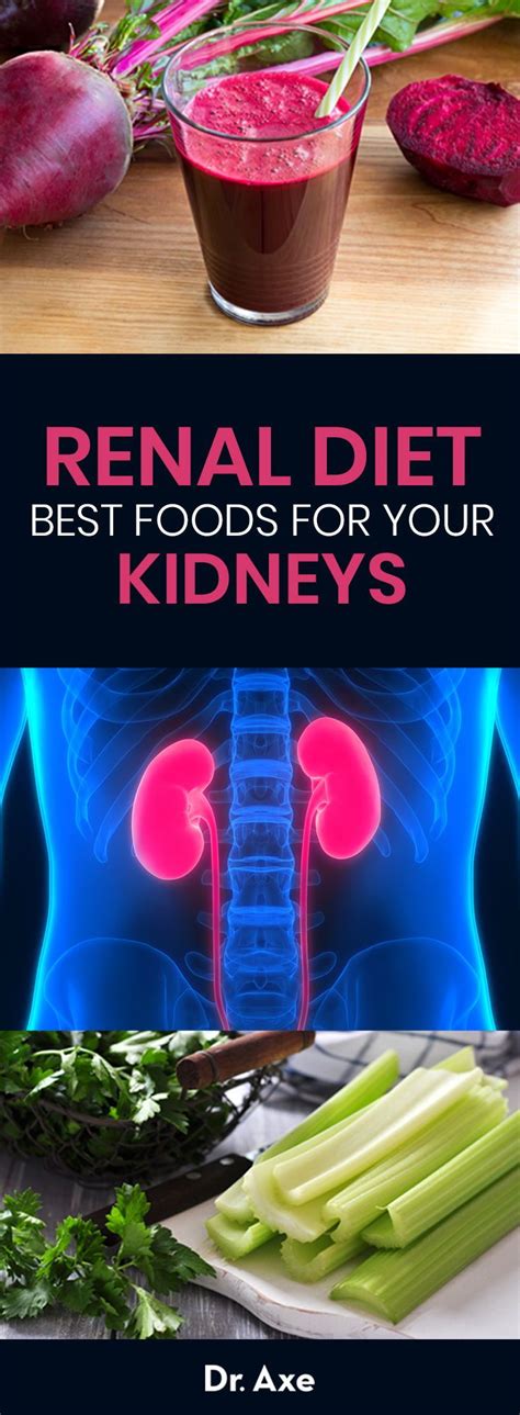 Renal Diet Foods List and Eating Plan for Kidney Disease - Dr. Axe ...