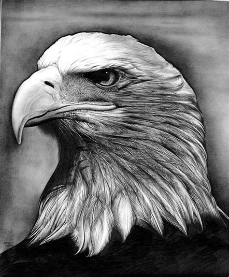 40 Realistic Animal Pencil Drawings