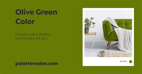 Olive Green Color - HEX #677A04 Meaning and Live Previews - PaletteMaker