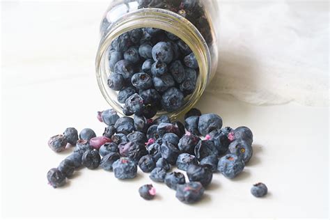 The Best Way to Freeze Dry Blueberries With Harvest Right Freeze Dryer ...