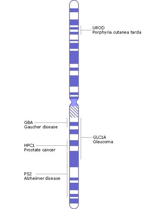 46 best Chromosomes, genes, 1q21.1 deletion images on Pinterest ...