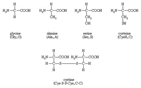 Alanine Amino Acid Structure