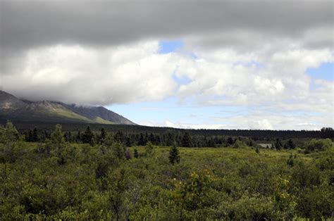 Hiking Denali National Park - michaelsulock.com