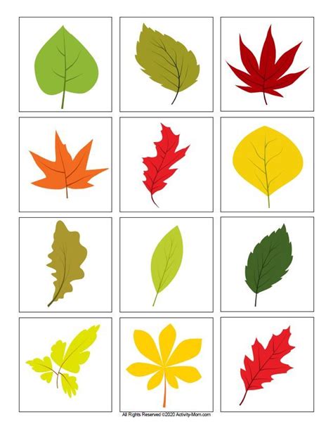 Leaf Color Matching (printable) - The Activity Mom | Leaf printables ...