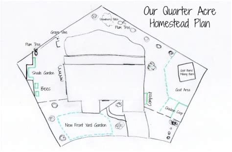 Creating A Homestead On A Quarter Acre - Tour And Plan - A Blossoming Life