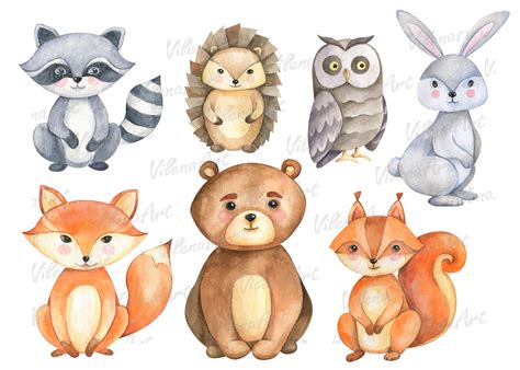 Forest animals clipart Woodland clip art watercolor PNG By VilenaArt ...