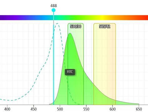 Fluorescence Compensation | Research at St. Michael's Hospital