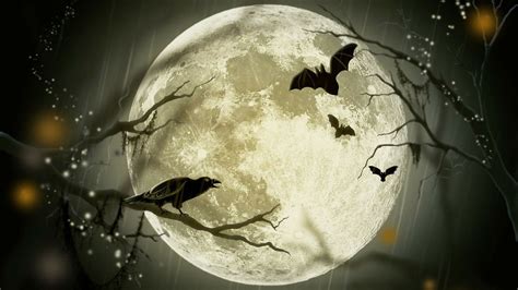 20 Free Spooky Halloween Zoom Backgrounds