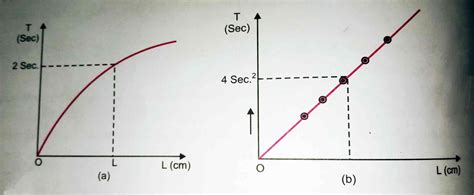 Class 11 Physics practical reading Using a simple pendulum, plot L-T ...