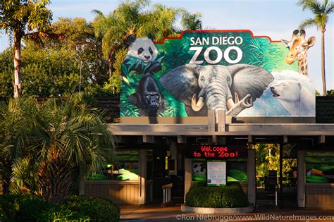 San Diego Zoo | San Diego, California. | Photos by Ron Niebrugge