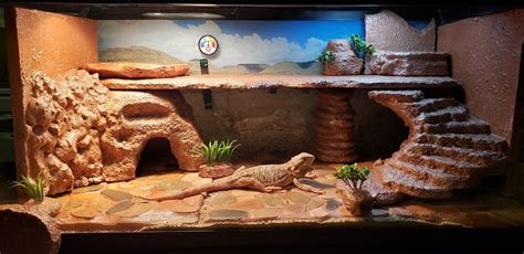 We used Styrofoam and Grout to create the habitat. The floor is made of ...