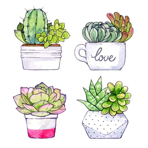 Succulent babies. | Succulent art drawing, Succulents drawing ...