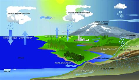 Illustration of the global water cycle (modified from an original map ...