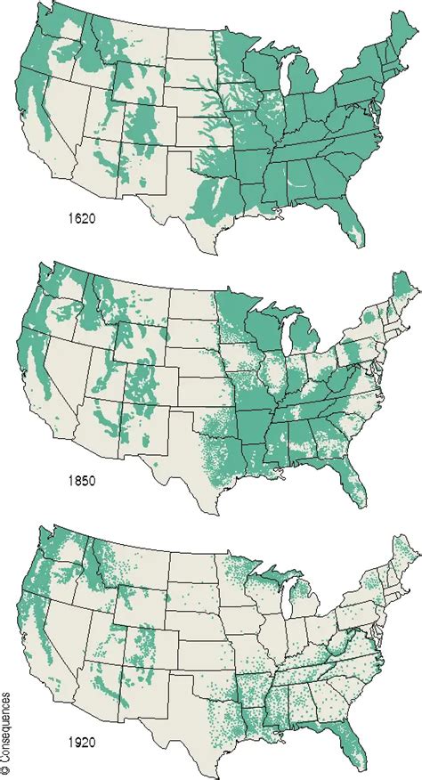 The forest cover of the United States mapped - Vivid Maps