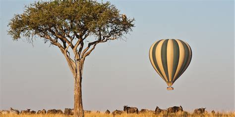 Entim Camp - Luxury Safari Camp in the Maasai Mara