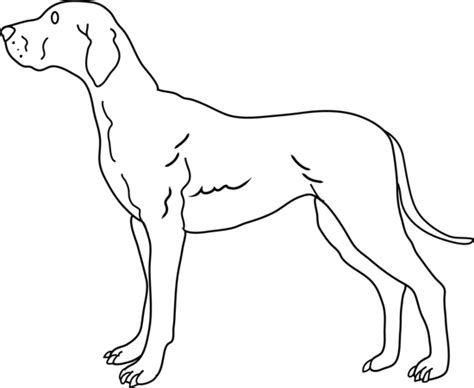 Free Dog Line Art, Download Free Dog Line Art png images, Free ClipArts ...