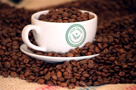 The Best Fair Trade Coffee Of 2021: A Cup With Certification