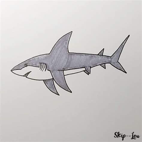 How To Draw A Great White Shark Easy