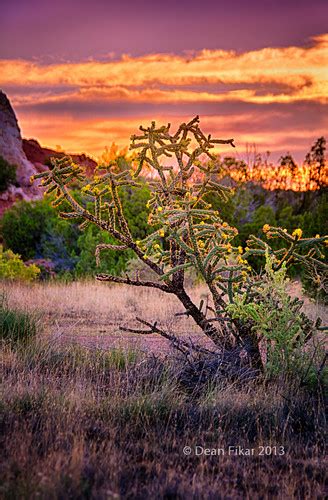 Los Cerrillos, NM, USA Sunrise Sunset Times