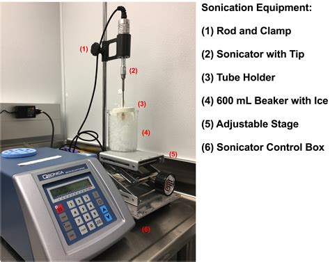 Figure 2: Sonication equipment setup for the preparation of crude cell ...