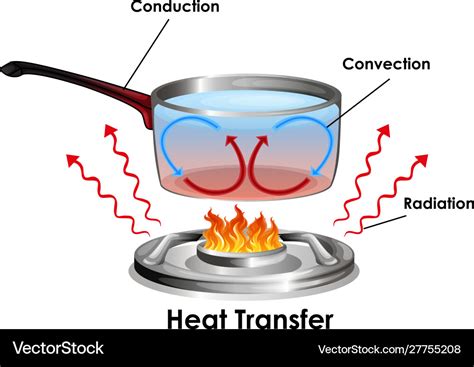 Diagram showing how heat transfer Royalty Free Vector Image